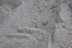 LIMESTONE-3822-