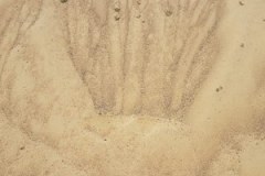MASONRY SAND