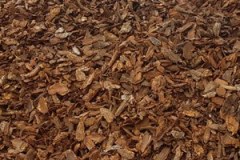 LARGE-BARK-