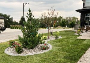 Landscaping in Edmonton